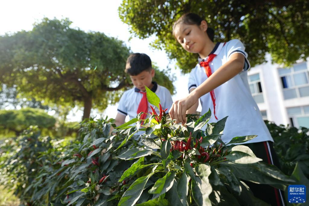 威尼斯9579网址改啥了